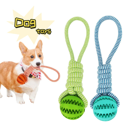 Interactive Rubber Treat Ball with Rope for Dogs
