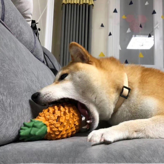 Fruit Shape Dog Chew Toy for Teeth Cleaning