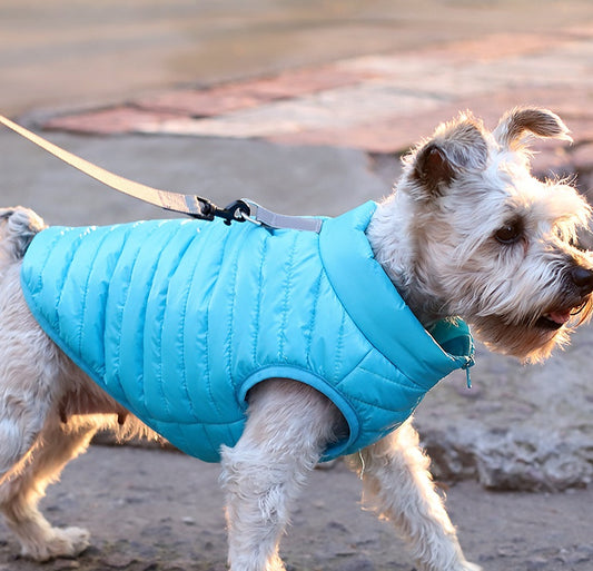 All-Season Nylon Dog Jacket with Zipper
